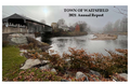 2021 Waitsfield Annual Report